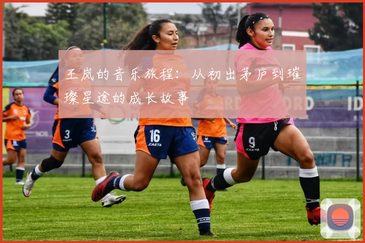 王岚的音乐旅程：从初出茅庐到璀璨星途的成长故事