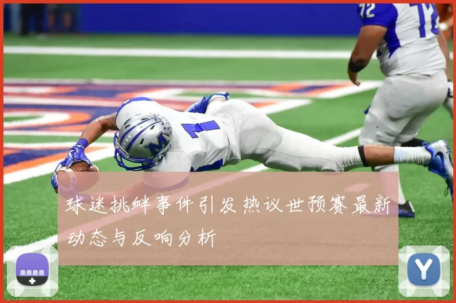球迷挑衅事件引发热议世预赛最新动态与反响分析