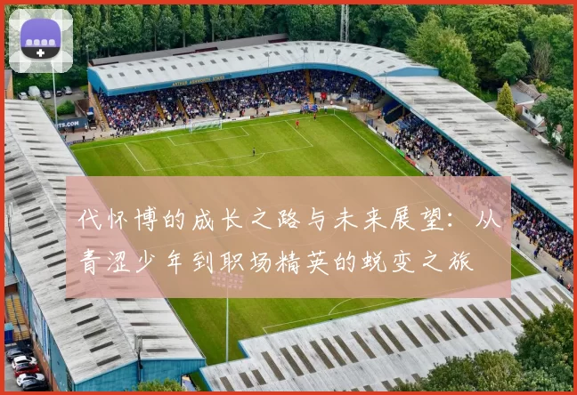 代怀博的成长之路与未来展望：从青涩少年到职场精英的蜕变之旅